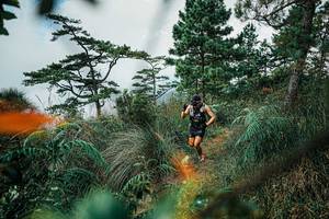 BIB: 
                            <button type="button" onclick="openModal(25258105)" class="btn btn-primary btn-sm float-right btn-popup" data-toggle="modal" data-target=".modal-high-quality">
                        <i class="fas fa-shopping-cart"></i> Add to Cart
                    </button>
                                            <button type="button" onclick="isThisMe(25258105, true)" class="btn btn-success btn-sm float-right btn-popup btn-isme hidden" data-toggle="tooltip" data-placement="bottom" title="นี่คือรูปของคุณใช่ไหม คลิกที่นี่เพื่อเอาเข้าอัลบั้ม">
                        <i class="fas fa-plus"></i> Add to album
                    </button>
                    <button type="button" onclick="isThisMe(25258105, false)" class="btn btn-warning btn-sm float-right btn-popup btn-isnotme hidden">
                        <i class="fas fa-ban"></i> Remove from album
                    </button>